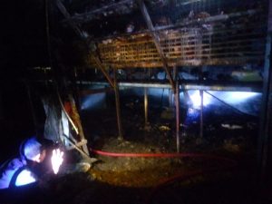 Kandang Terbakar, Ribuan Ekor Jadi ‘Ayam Bakar Siap Saji’
