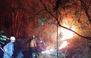 Gunung Bancak Terbakar, Damkar Tak Sanggup Tembus Sasaran