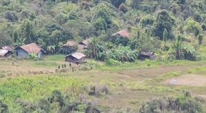 Milisi OPM Lakukan Pengintaian Aktivitas TNI di Pegunungan Bintang