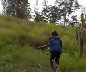Konfrontasi di Dataran Tinggi Sinak, Tiga Prajurit TNI Gugur Ditembak OPM